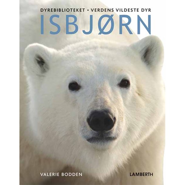 Isbjrn