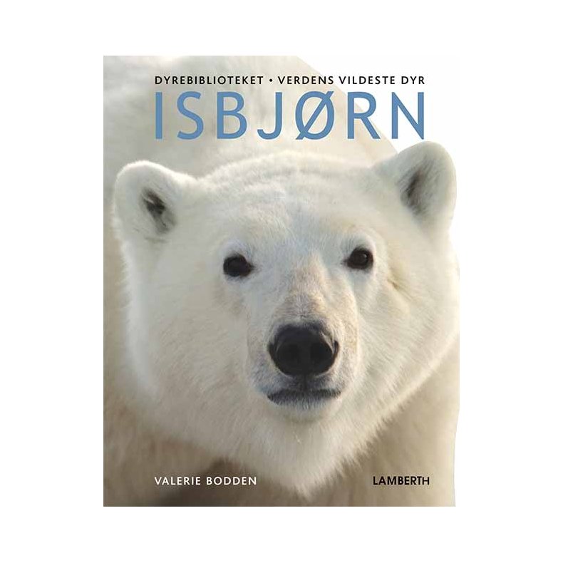 Isbjrn