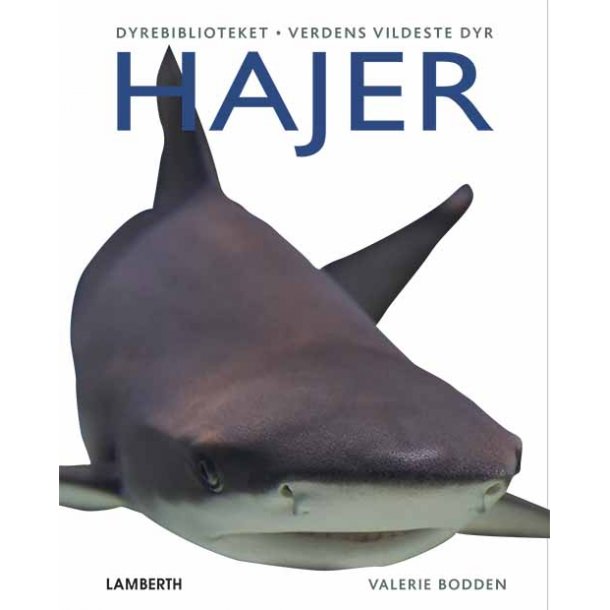 Hajer