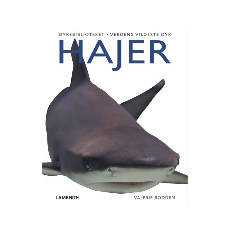 Hajer