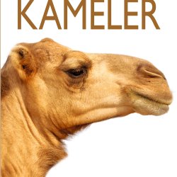 Kameler