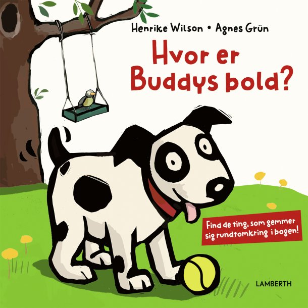 Hvor er Buddys bold?