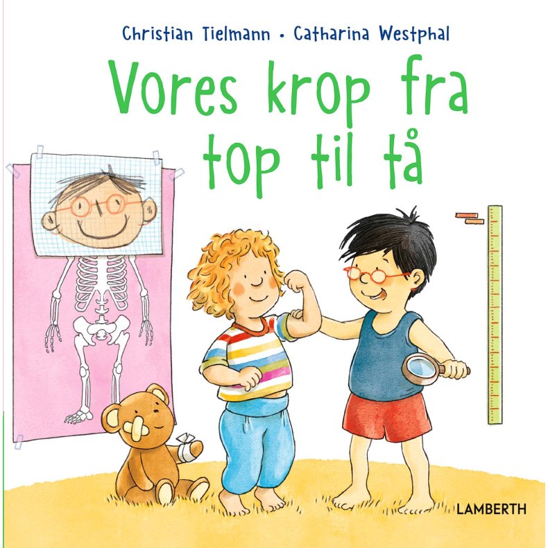 Vores krop fra top til t