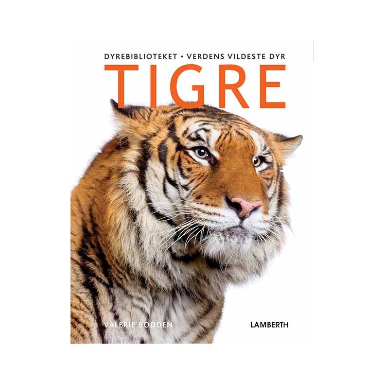 Tigre