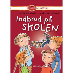 Indbrud p skolen