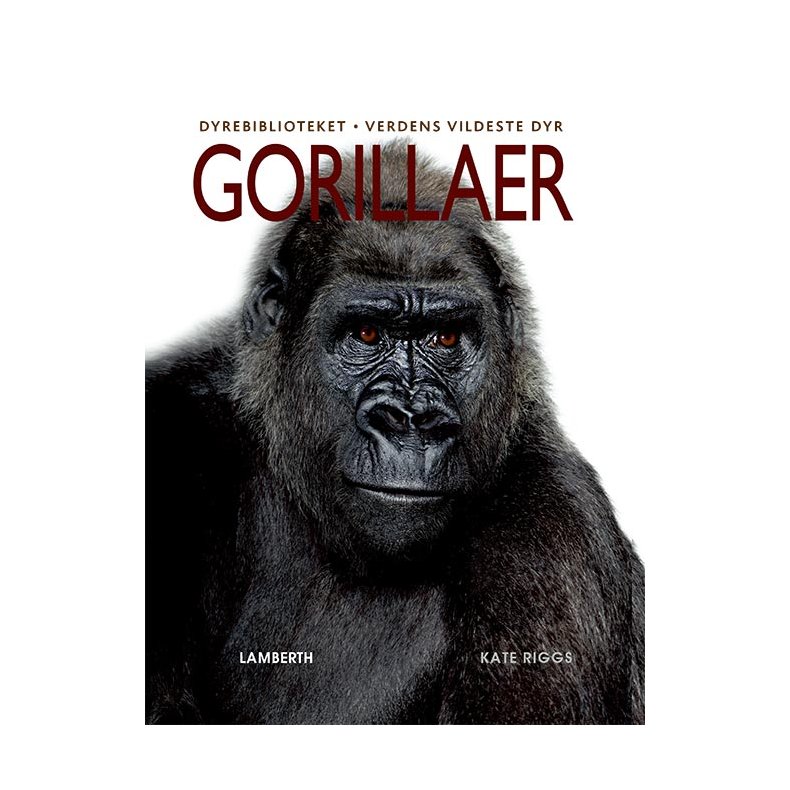 Gorillaer