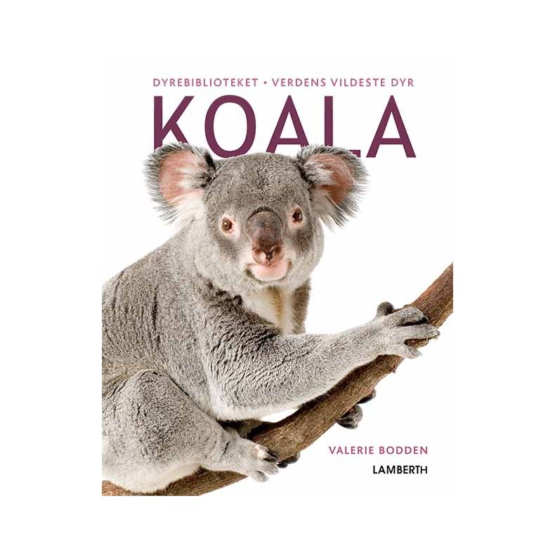Koala