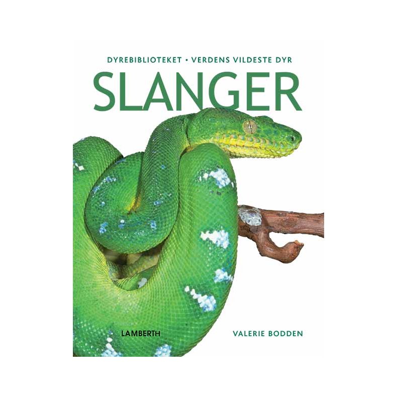 Slanger