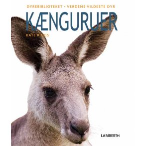 Knguruer
