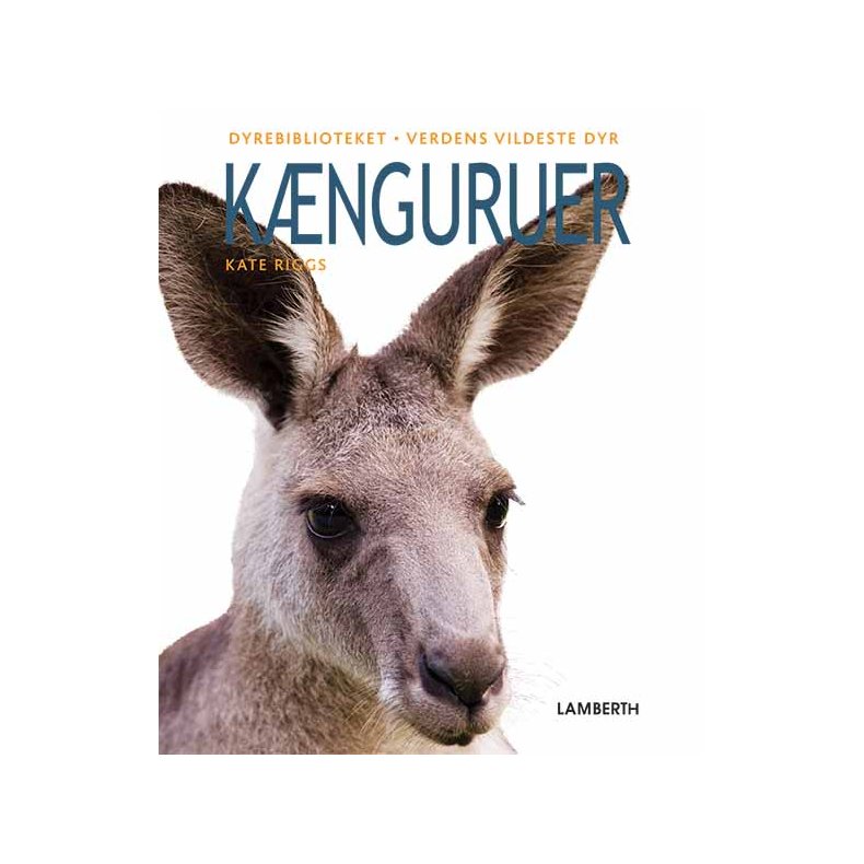 Knguruer