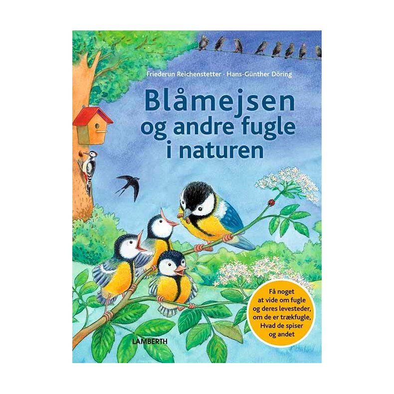 Blmejsen og andre fugle i naturen