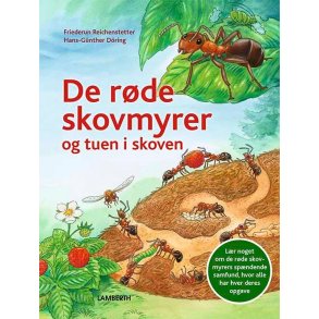 De rde skovmyrer og tuen i skoven