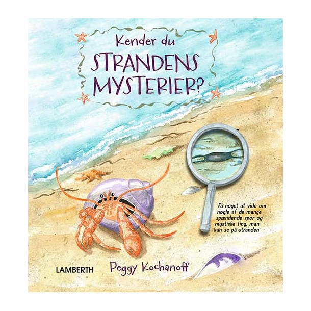 Kender du strandens mysterier?