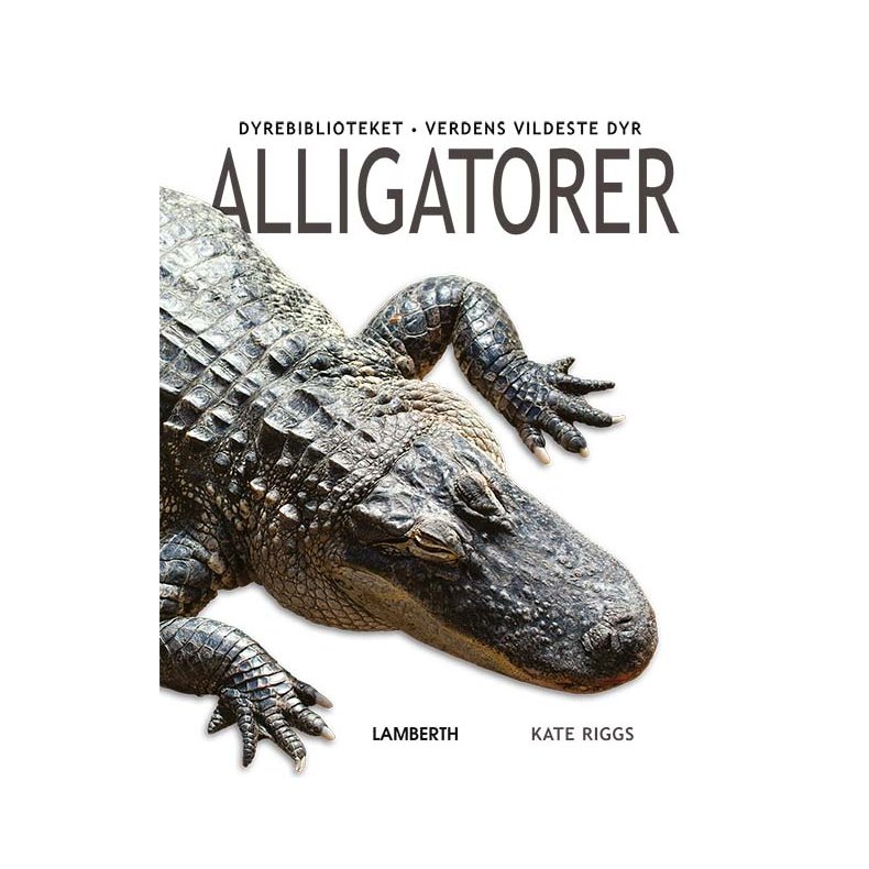 Alligatorer