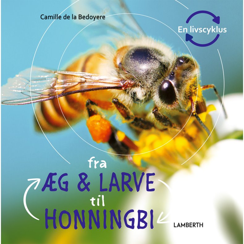 Fra g og larve til honningbi