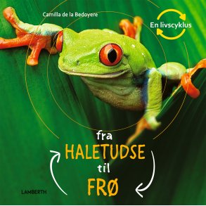 Fra haletudse til fr