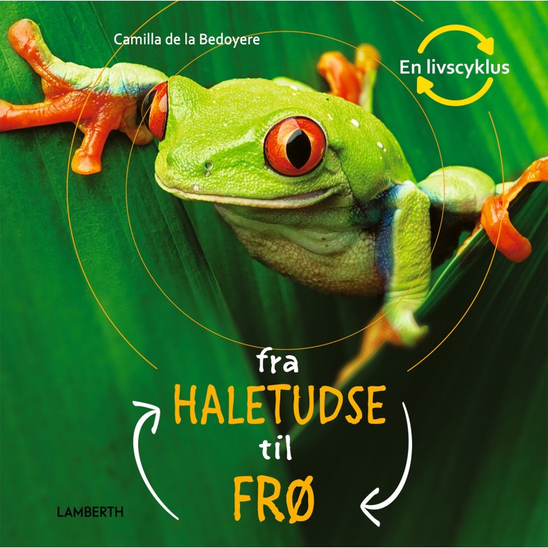 Fra haletudse til fr