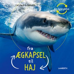 Fra gkapsel til haj