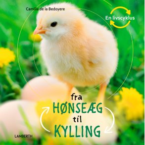 Fra hnseg til kylling