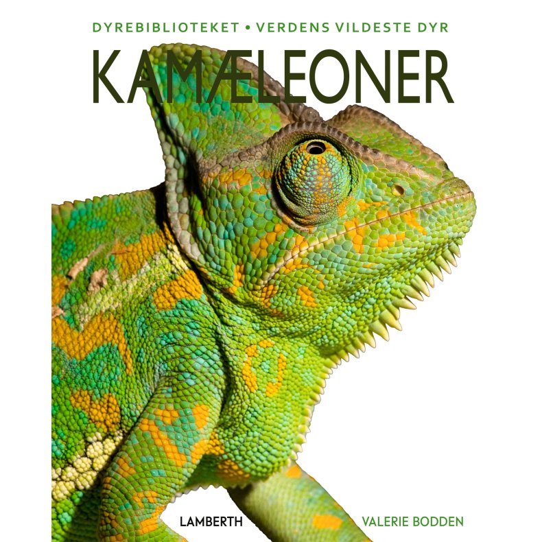 Kamleoner