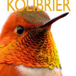 Kolibrier