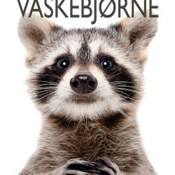 Vaskebjrne