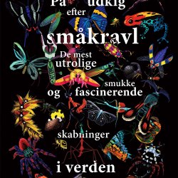 P udkig efter smkravl