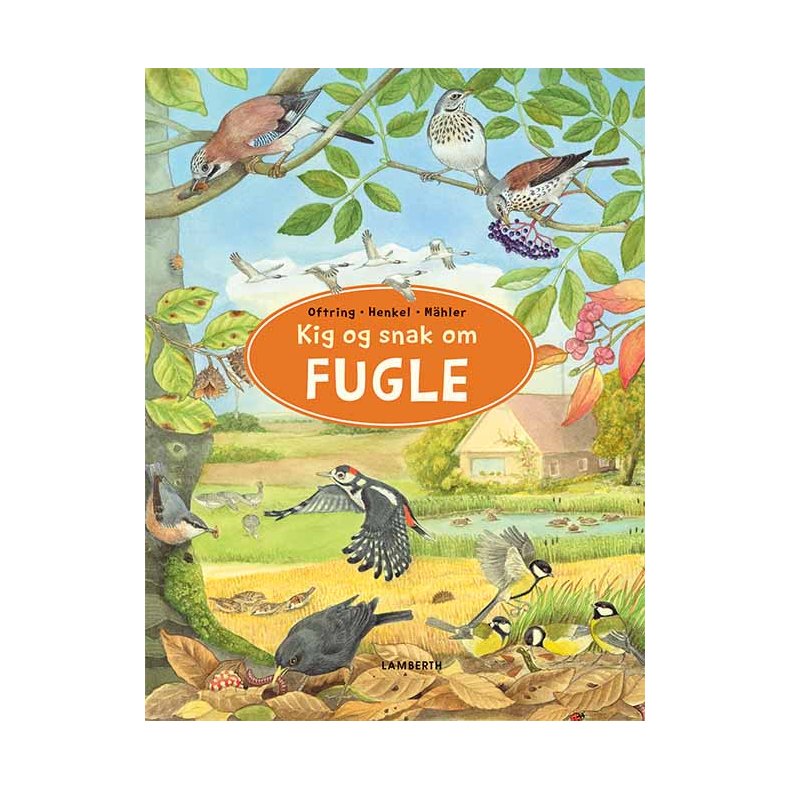 Kig og snak om fugle
