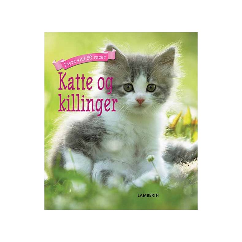 Katte og killinger