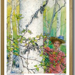Carl Larsson plakat 30x40cm i ramme
