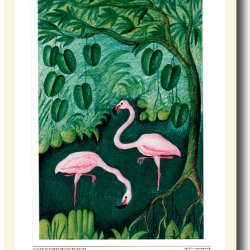 Scherfig plakat 30x40cm i ramme