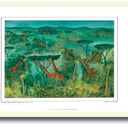 Scherfig plakat 30x40cm i ramme