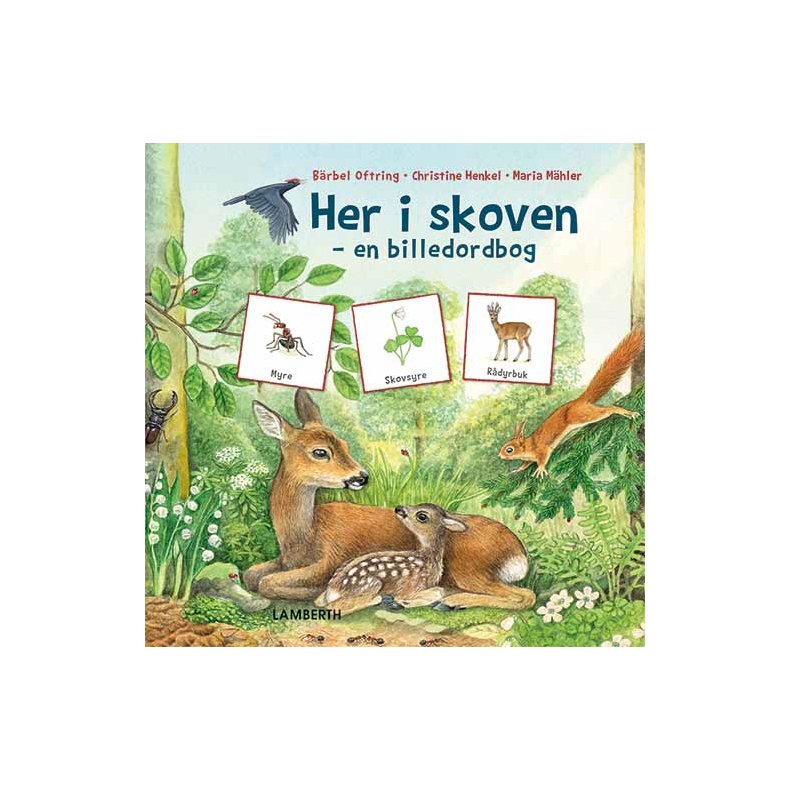 Her i skoven - en billedordbog
