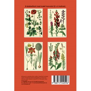 Gaveske med dobbeltkort