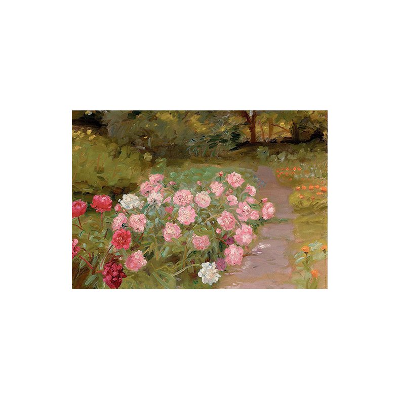 Skagen note card