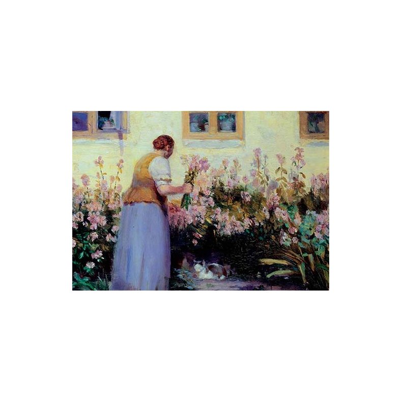 Skagen note card