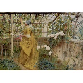 Carl Larsson dobbeltkort