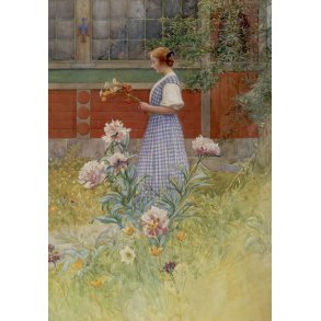 Carl Larsson dobbeltkort
