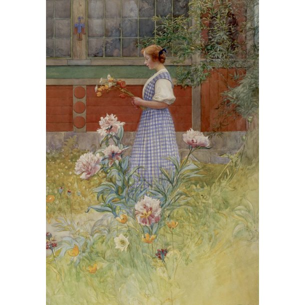 Carl Larsson Note Card