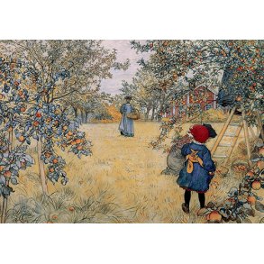 Carl Larsson dobbeltkort