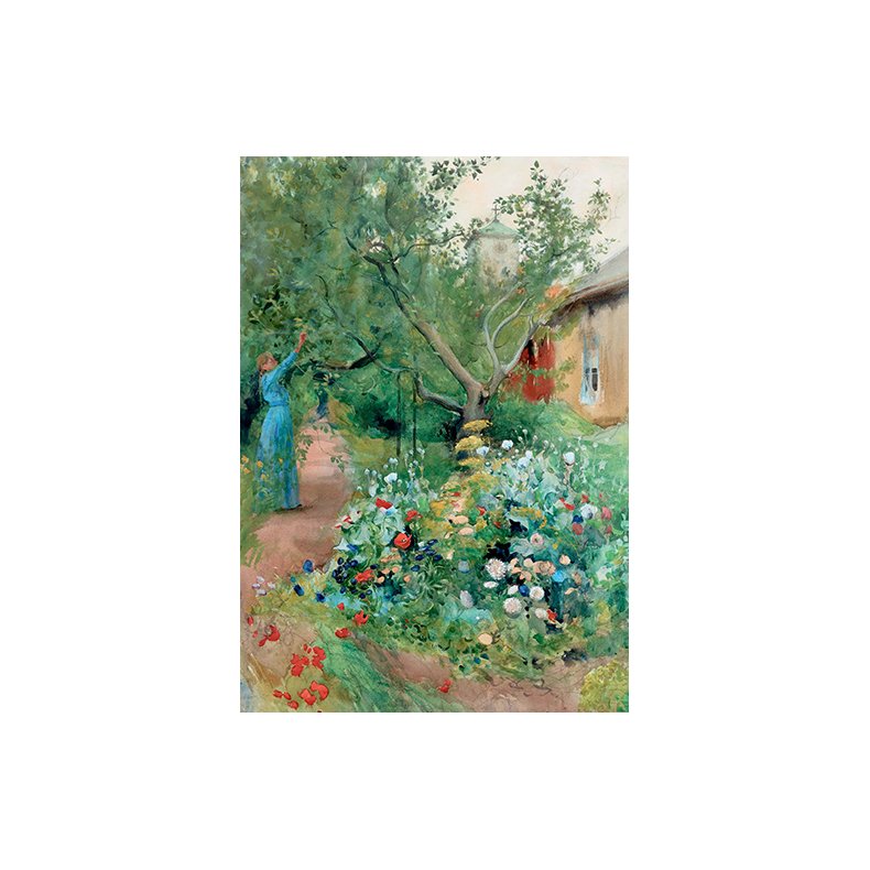 Carl Larsson dobbeltkort