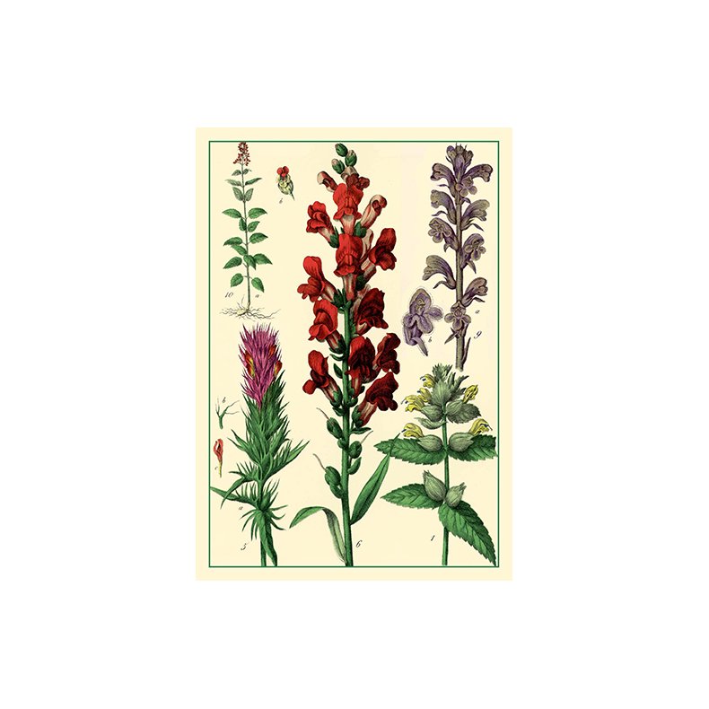 Natur - flora dobbeltkort