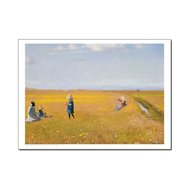 Skagen plakat 60x80 cm.