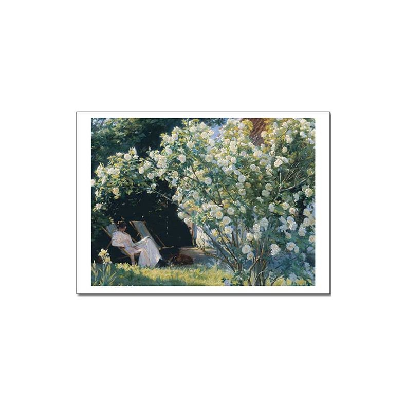 Skagen plakat 60x80 cm.