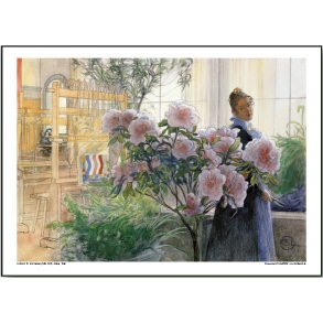 Carl Larsson plakat 30x40cm
