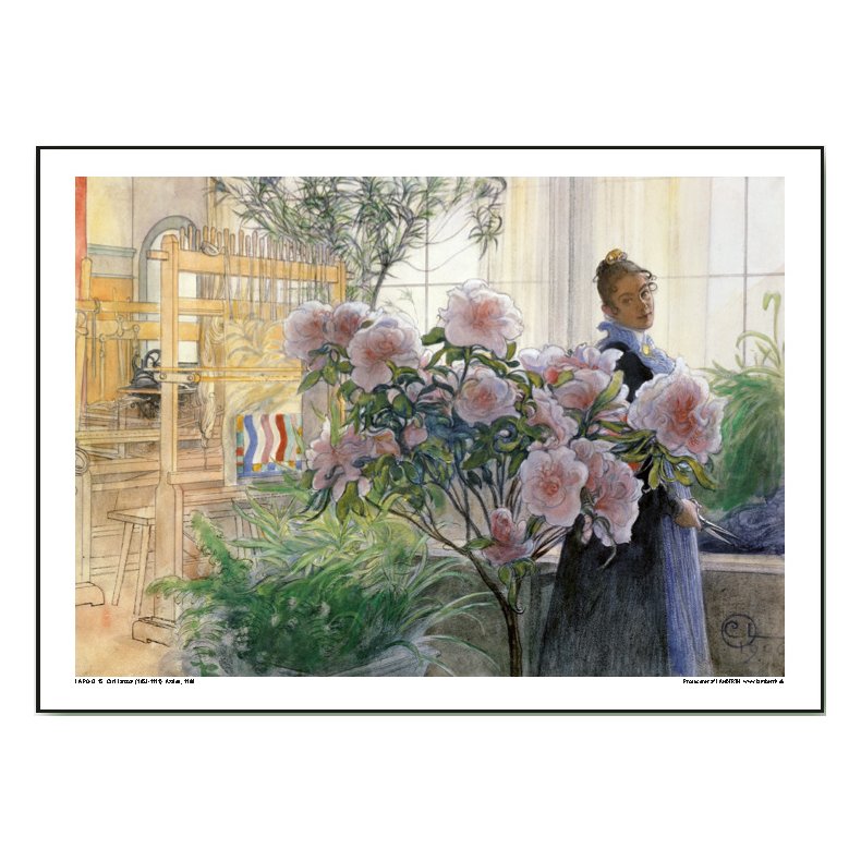 Carl Larsson plakat 30x40cm