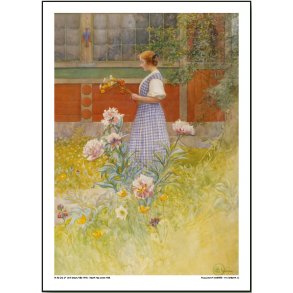 Carl Larsson plakat 30x40cm