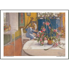 Carl Larsson plakat 30x40cm