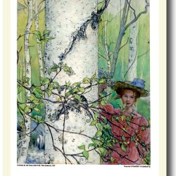 Carl Larsson plakat 30x40cm i ramme