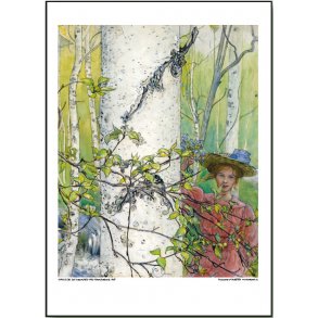 Carl Larsson plakat 30x40cm
